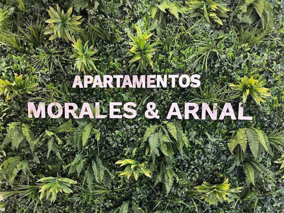XXI E Apartamentos Morales & Arnal Ronda Kültér fotó